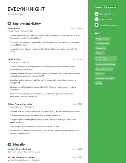 Junior Auditor Resume
