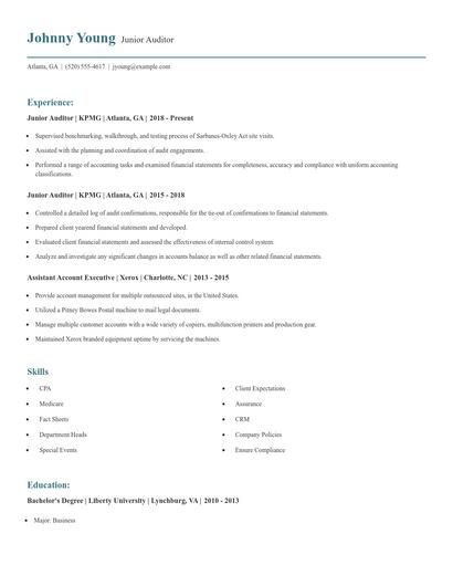 Junior Auditor Resume