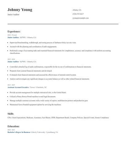 Junior Auditor Resume