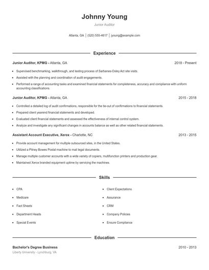 Junior Auditor Resume