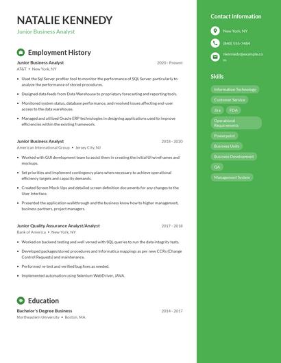 Resume example 4