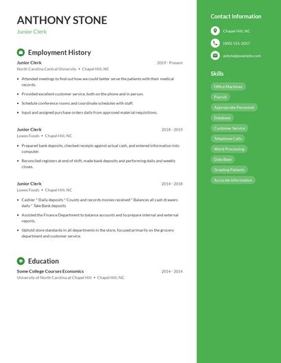 Junior Clerk Resume