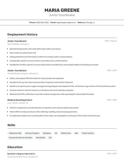 Junior Coordinator Resume