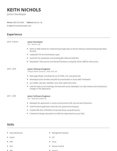 Junior Developer Resume