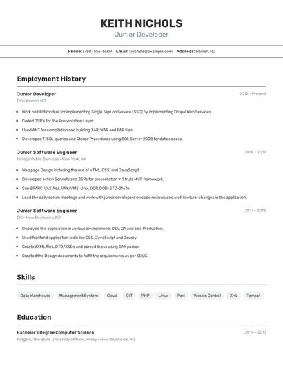 Junior Developer Resume