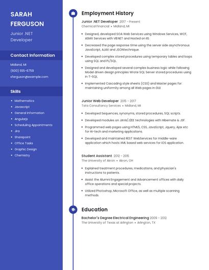 Resume example 4