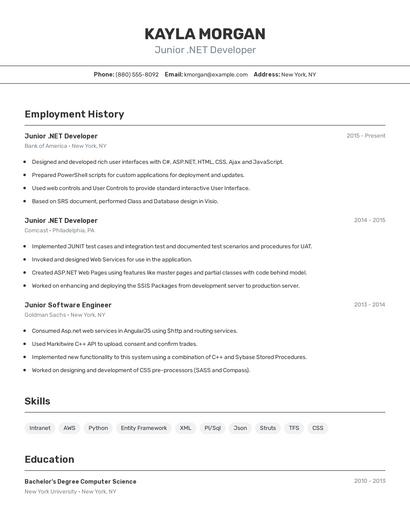 Resume example 2