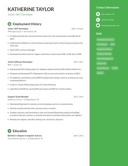 Resume example 5