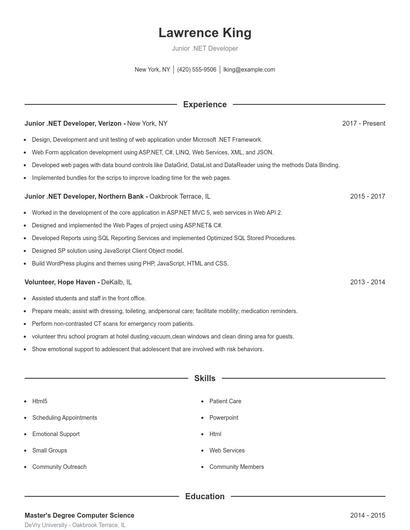 Resume example 1