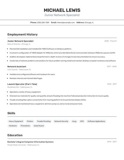 Junior Network Specialist Resume