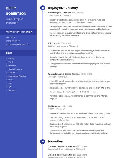 Junior Project Manager Resume