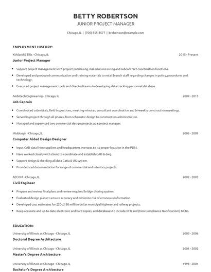 Junior Project Manager Resume