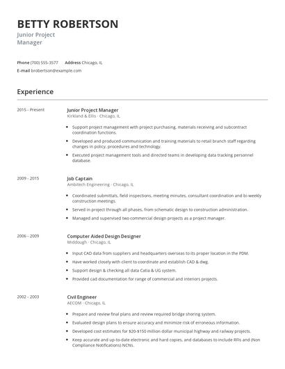 Junior Project Manager Resume