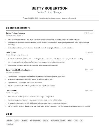 Resume example 2