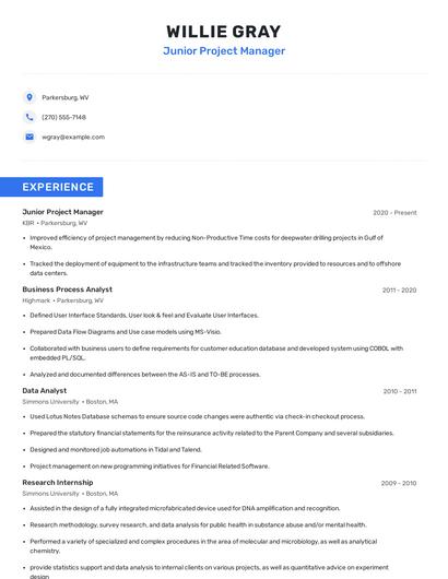 Junior Project Manager Resume