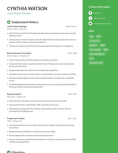 Junior Project Manager Resume