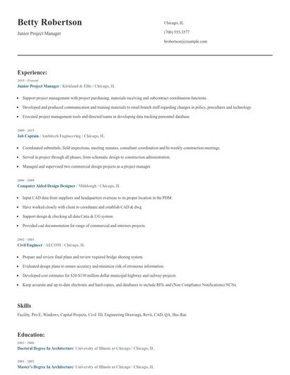 Junior Project Manager Resume