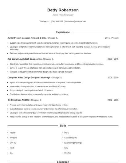 Resume example 1