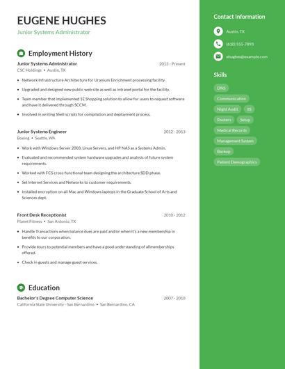 Resume example 5