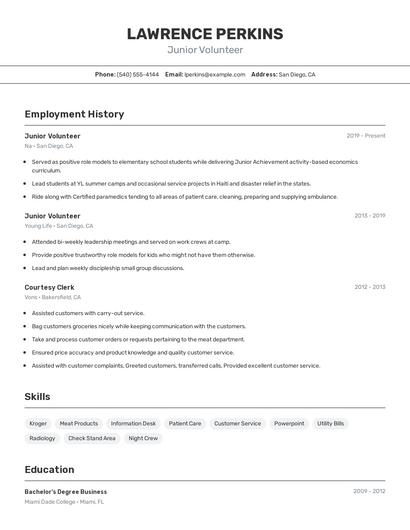 Resume example 2