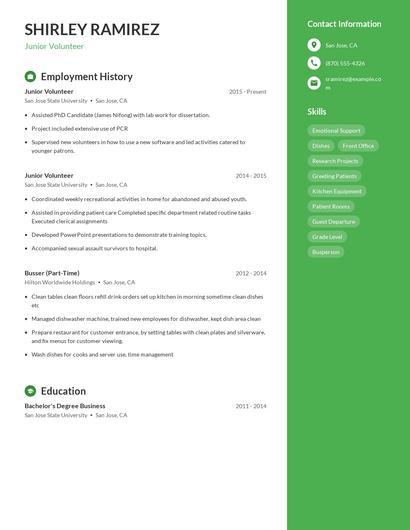 Resume example 5
