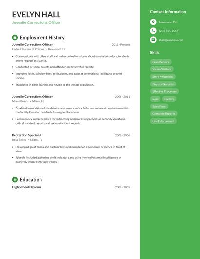 Resume example 5