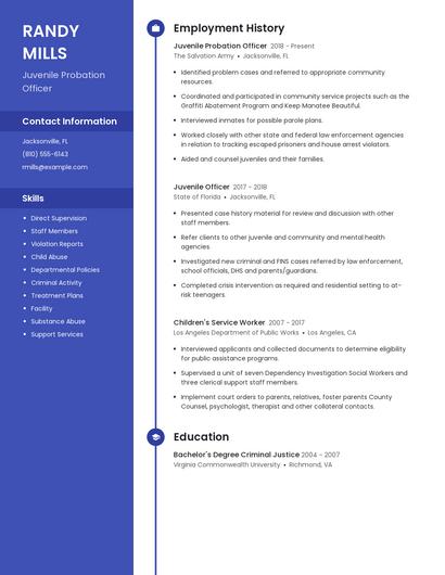 Resume example 4