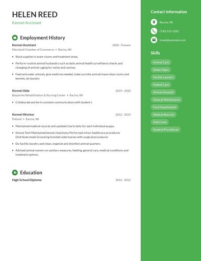 Resume example 5
