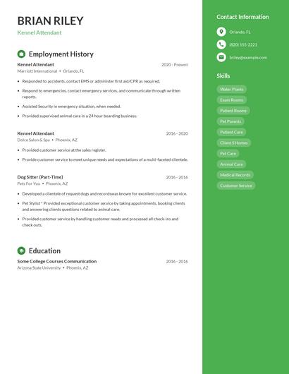 Resume example 4