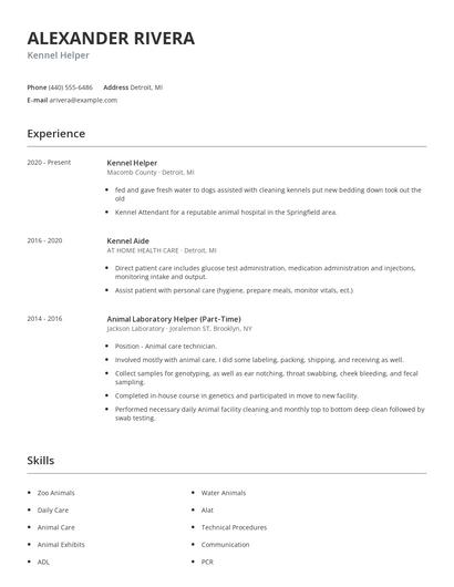 Kennel Helper Resume