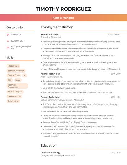 Resume example 3