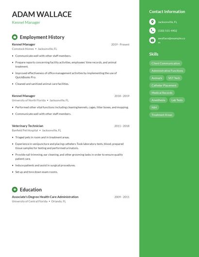 Resume example 4