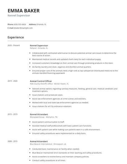 Kennel Supervisor Resume
