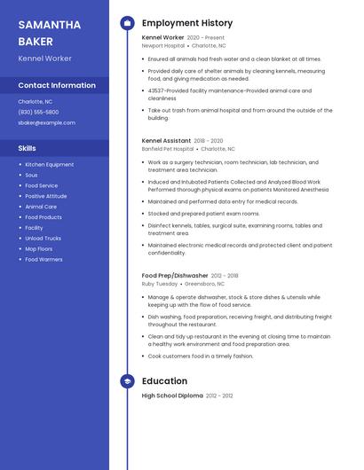 Resume example 4