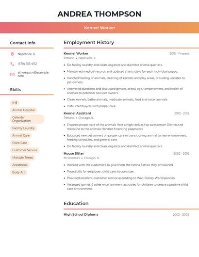 Resume example 3
