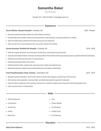 Resume example 1