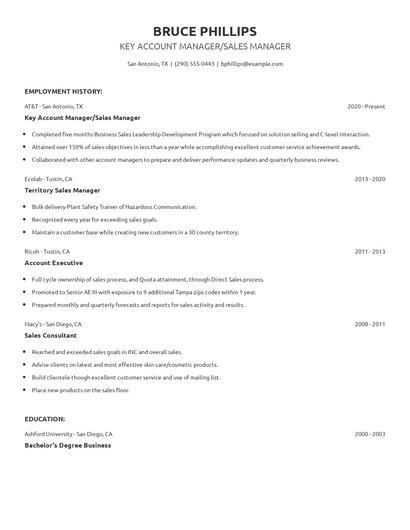 Key Account Manager/Sales Manager Resume