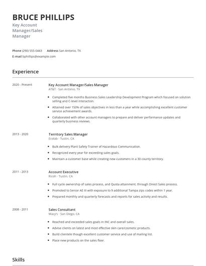 Key Account Manager/Sales Manager Resume