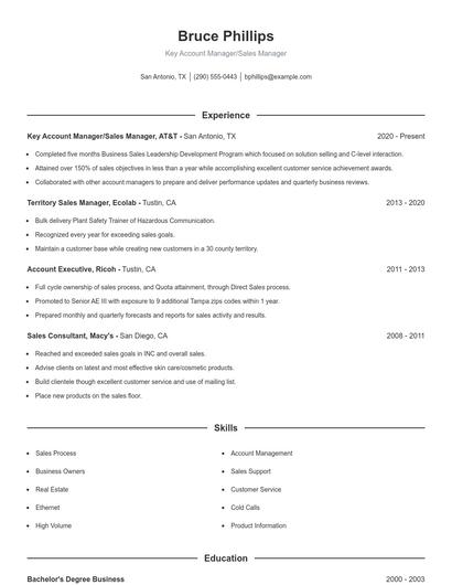 Key Account Manager/Sales Manager Resume