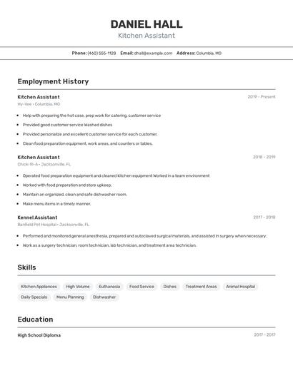 Resume example 2