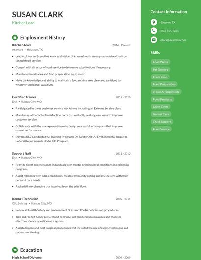 Kitchen Lead Resume