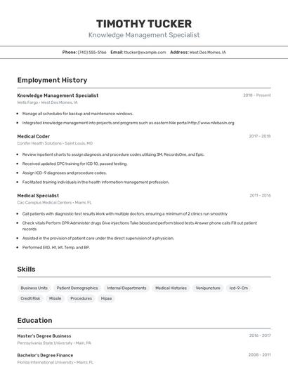 Resume example 2
