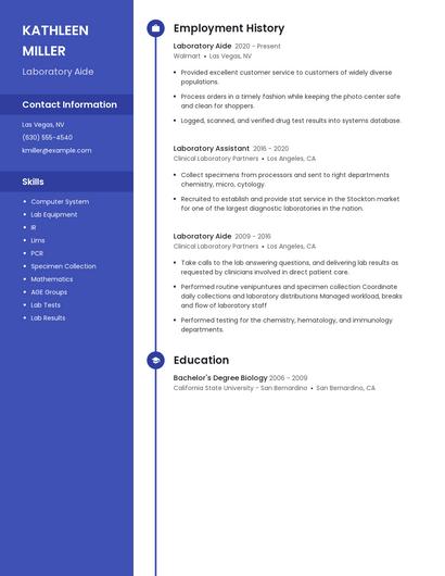 Resume example 4