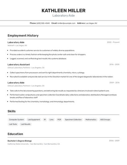 Resume example 2