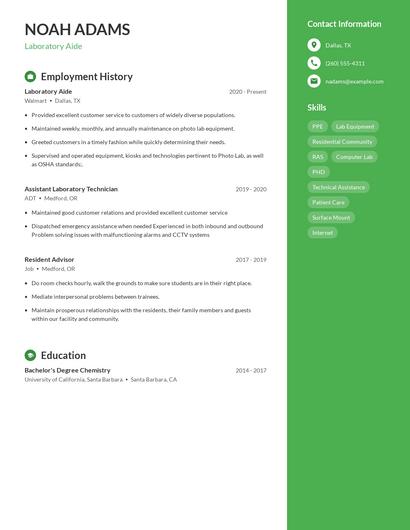 Resume example 5