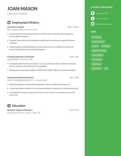 Resume example 5