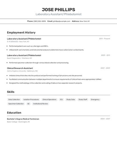 Resume example 2