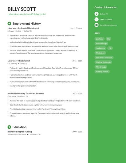 Resume example 5