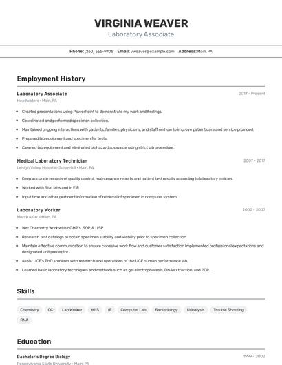 Resume example 2