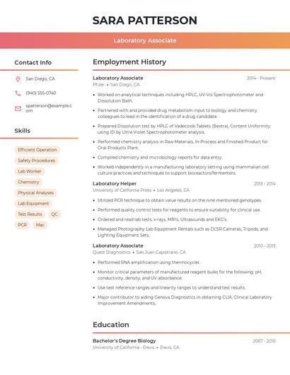 Resume example 3